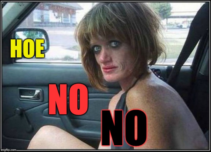Ugly meth heroin addict Prostitute hoe in car | HOE NO NO | image tagged in ugly meth heroin addict prostitute hoe in car | made w/ Imgflip meme maker