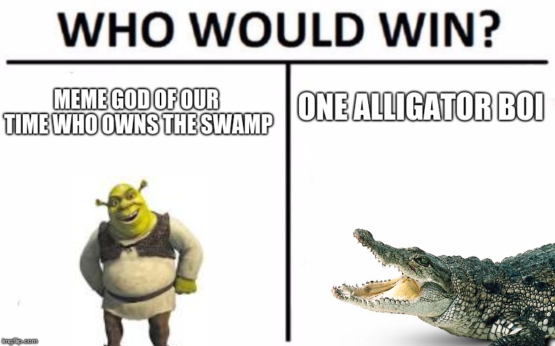 Who Would Win? Meme | ONE ALLIGATOR BOI; MEME GOD OF OUR TIME WHO OWNS THE SWAMP | image tagged in memes,who would win | made w/ Imgflip meme maker