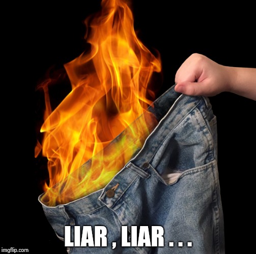 Pants on Fire | LIAR , LIAR . . . | image tagged in pants on fire | made w/ Imgflip meme maker