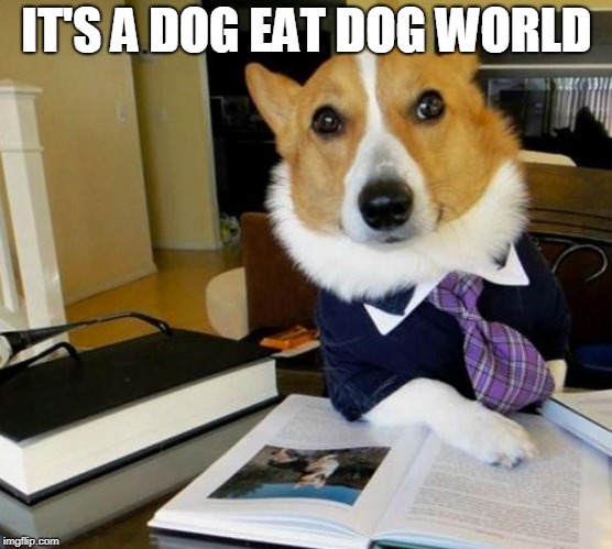 Lawyer Corgi Dog | IT'S A DOG EAT DOG WORLD | image tagged in lawyer corgi dog | made w/ Imgflip meme maker
