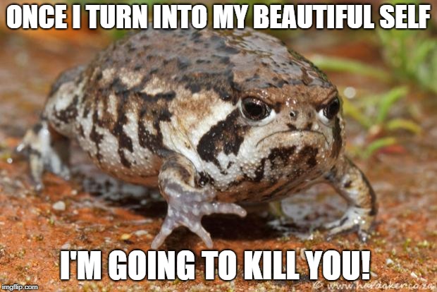 Grumpy Toad Meme | ONCE I TURN INTO MY BEAUTIFUL SELF; I'M GOING TO KILL YOU! | image tagged in memes,grumpy toad | made w/ Imgflip meme maker