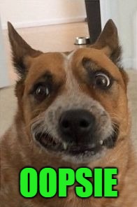 Dog Cringe | OOPSIE | image tagged in dog cringe | made w/ Imgflip meme maker