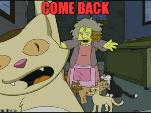 CRAZY CAT LADY | COME BACK | image tagged in crazy cat lady | made w/ Imgflip meme maker