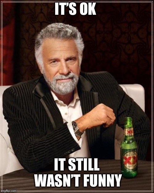 The Most Interesting Man In The World Meme | IT’S OK IT STILL WASN’T FUNNY | image tagged in memes,the most interesting man in the world | made w/ Imgflip meme maker