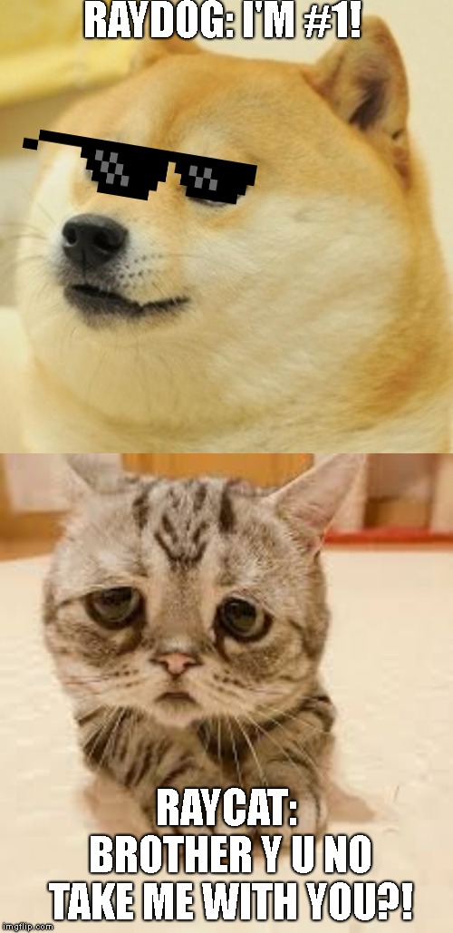Not to make fun of these users though! | RAYDOG: I'M #1! RAYCAT: BROTHER Y U NO TAKE ME WITH YOU?! | image tagged in memes,doge,sad cat,raydog,raycat | made w/ Imgflip meme maker