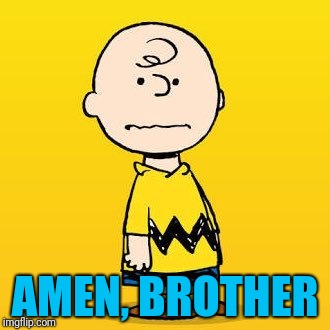 charlie brown | AMEN, BROTHER | image tagged in charlie brown | made w/ Imgflip meme maker