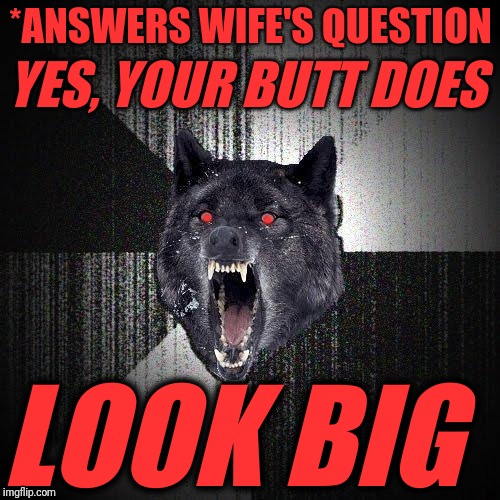Insanity Wolf Meme | *ANSWERS WIFE'S QUESTION LOOK BIG . . YES, YOUR BUTT DOES | image tagged in memes,insanity wolf | made w/ Imgflip meme maker