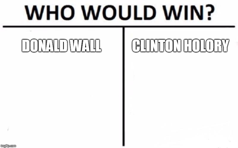 Who Would Win? | DONALD WALL; CLINTON HOLORY | image tagged in memes,who would win | made w/ Imgflip meme maker