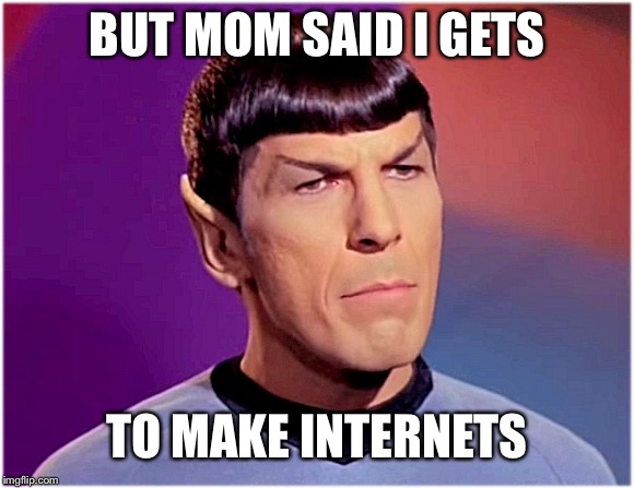 Spock Goofy | BUT MOM SAID I GETS; TO MAKE INTERNETS | image tagged in spock goofy | made w/ Imgflip meme maker