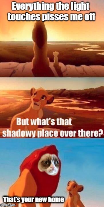 The Grumpy King | Everything the light touches pisses me off; That's your new home | image tagged in funny memes,cats,grumpy cat,lion king,simba shadowy place | made w/ Imgflip meme maker