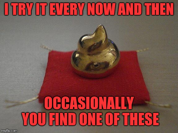 Golden poop award | I TRY IT EVERY NOW AND THEN OCCASIONALLY YOU FIND ONE OF THESE | image tagged in golden poop award | made w/ Imgflip meme maker