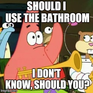 No Patrick Meme | SHOULD I USE THE BATHROOM? I DON'T KNOW, SHOULD YOU? | image tagged in memes,no patrick | made w/ Imgflip meme maker