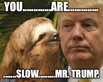 Political advice sloth | YOU.............ARE.............. .......SLOW.........MR. TRUMP. | image tagged in political advice sloth | made w/ Imgflip meme maker