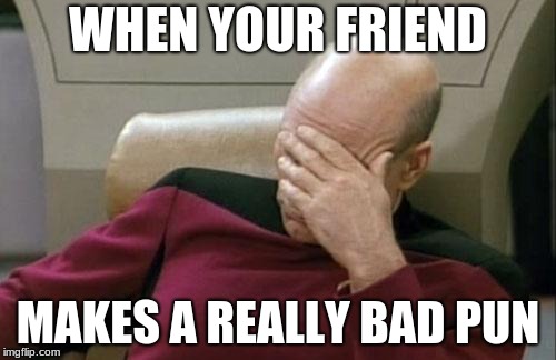 Captain Picard Facepalm | WHEN YOUR FRIEND; MAKES A REALLY BAD PUN | image tagged in memes,captain picard facepalm | made w/ Imgflip meme maker