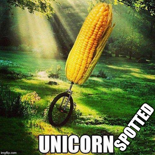 UNICORN | SPOTTED | image tagged in unicorn | made w/ Imgflip meme maker