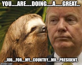 Political advice sloth | YOU.....ARE.....DOING.....A......GREAT... ...JOB....FOR....MY....COUNTRY....MR....PRESIDENT. | image tagged in political advice sloth | made w/ Imgflip meme maker
