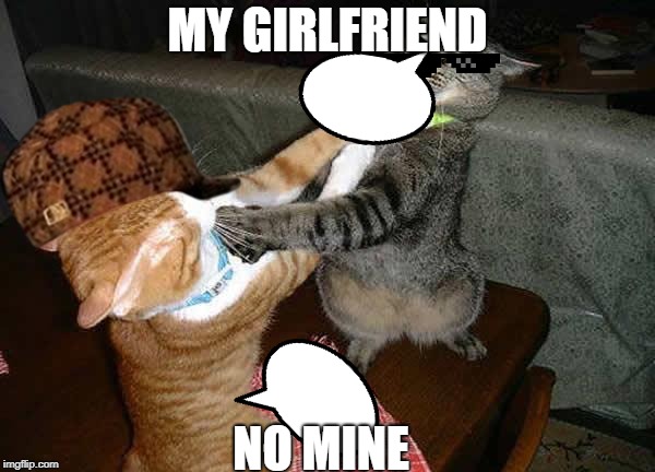Two cats fighting for real | MY GIRLFRIEND; NO MINE | image tagged in two cats fighting for real | made w/ Imgflip meme maker