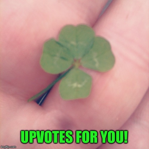 Shamrock | UPVOTES FOR YOU! | image tagged in shamrock | made w/ Imgflip meme maker