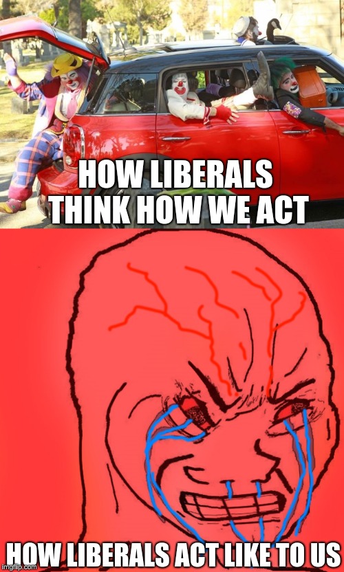 Liberals versus the Conservatives an endless battle | HOW LIBERALS THINK HOW WE ACT; HOW LIBERALS ACT LIKE TO US | image tagged in clown car republicans,memes,political meme,the fight against two sides of the government | made w/ Imgflip meme maker