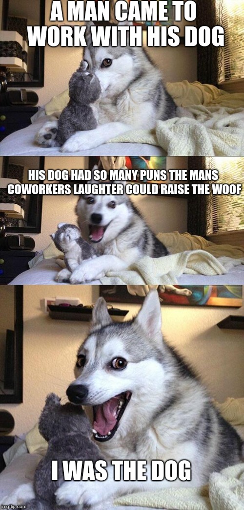 Bad Pun Dog Meme | A MAN CAME TO WORK WITH HIS DOG; HIS DOG HAD SO MANY PUNS THE MANS COWORKERS LAUGHTER COULD RAISE THE WOOF; I WAS THE DOG | image tagged in memes,bad pun dog | made w/ Imgflip meme maker