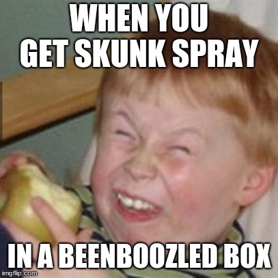 mocking laugh face | WHEN YOU GET SKUNK SPRAY; IN A BEENBOOZLED BOX | image tagged in mocking laugh face | made w/ Imgflip meme maker