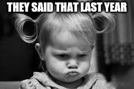 Pouting Toddler | THEY SAID THAT LAST YEAR | image tagged in pouting toddler | made w/ Imgflip meme maker