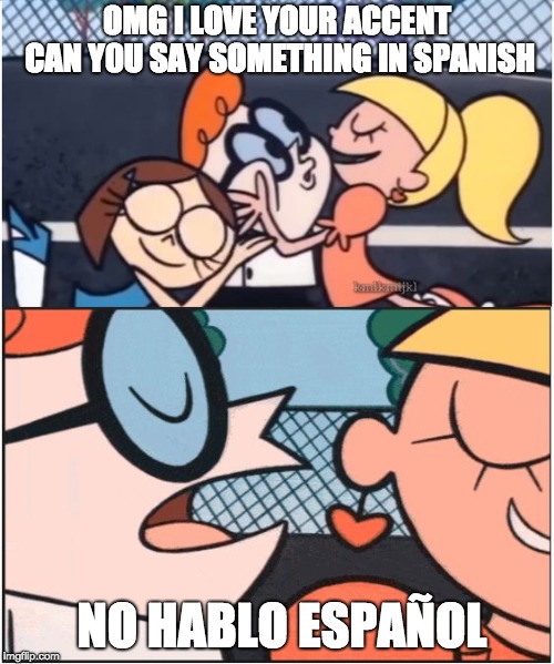 Dexters Lab | OMG I LOVE YOUR ACCENT CAN Y0U SAY SOMETHING IN SPANISH; NO HABLO ESPAÑOL | image tagged in dexters lab | made w/ Imgflip meme maker