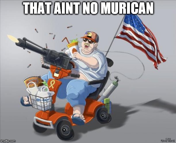 Murica | THAT AINT NO MURICAN | image tagged in murica | made w/ Imgflip meme maker