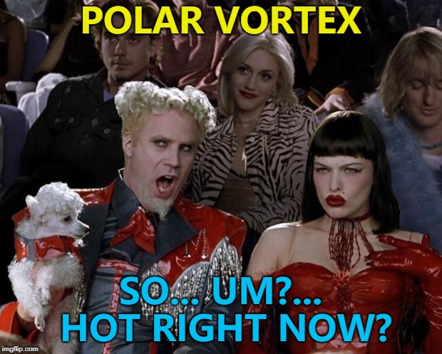 Kinda works... :) | POLAR VORTEX; SO... UM?... HOT RIGHT NOW? | image tagged in memes,mugatu so hot right now,polar vortex,weather | made w/ Imgflip meme maker