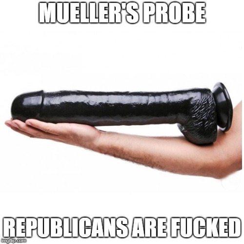 Mueller's Probe | MUELLER'S PROBE; REPUBLICANS ARE FUCKED | image tagged in mueller,investigation,politics | made w/ Imgflip meme maker