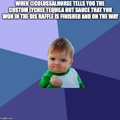 Success Kid Meme | WHEN @COLOSSALHORSE TELLS YOU THE CUSTOM LYCHEE TEQUILA HOT SAUCE THAT YOU WON IN THE DIS RAFFLE IS FINISHED AND ON THE WAY | image tagged in memes,success kid | made w/ Imgflip meme maker