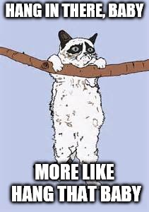 Hang in there grumpy cat | HANG IN THERE, BABY; MORE LIKE HANG THAT BABY | image tagged in hang in there grumpy cat | made w/ Imgflip meme maker