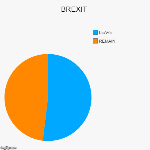 BREXIT | REMAIN, LEAVE | image tagged in funny,pie charts | made w/ Imgflip chart maker