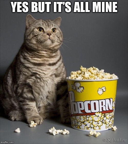 Cat eating popcorn | YES BUT IT’S ALL MINE | image tagged in cat eating popcorn | made w/ Imgflip meme maker