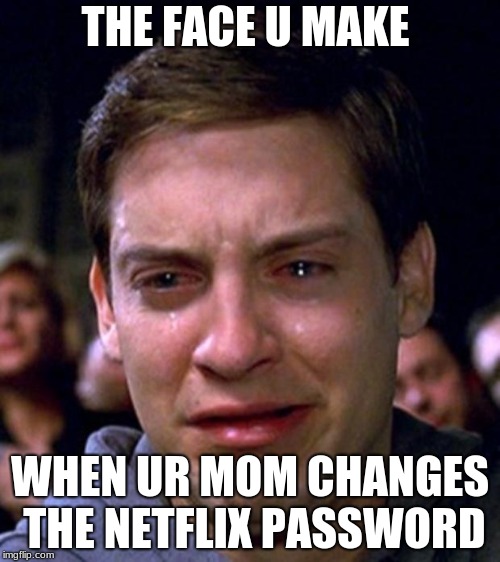 crying peter parker | THE FACE U MAKE; WHEN UR MOM CHANGES THE NETFLIX PASSWORD | image tagged in crying peter parker | made w/ Imgflip meme maker