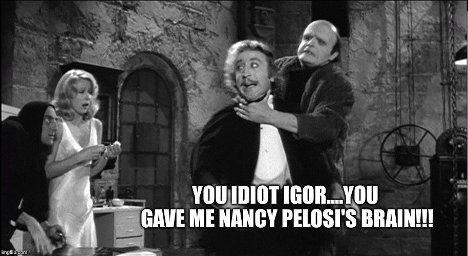 YOU IDIOT IGOR....YOU GAVE ME NANCY PELOSI'S BRAIN!!! | image tagged in young frankenstein | made w/ Imgflip meme maker