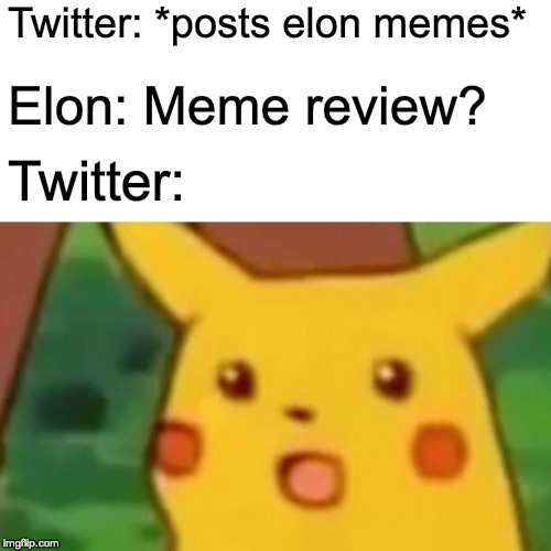 Surprised Pikachu Meme | Twitter: *posts elon memes*; Elon: Meme review? Twitter: | image tagged in memes,surprised pikachu | made w/ Imgflip meme maker
