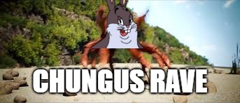 crab rave | CHUNGUS RAVE | image tagged in crab rave | made w/ Imgflip meme maker