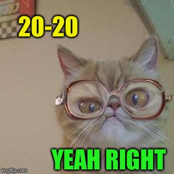 Funny Cat with Glasses | 20-20 YEAH RIGHT | image tagged in funny cat with glasses | made w/ Imgflip meme maker