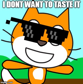 Do not taste it!!!! Cat! | I DONT WANT TO TASTE IT | image tagged in scratch | made w/ Imgflip meme maker