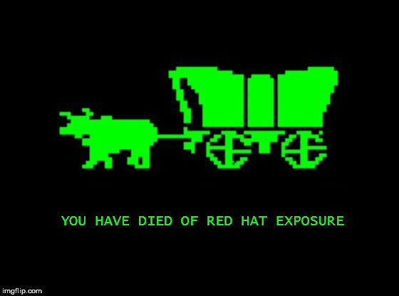Oregon trail | YOU HAVE DIED OF RED HAT EXPOSURE | image tagged in oregon trail | made w/ Imgflip meme maker