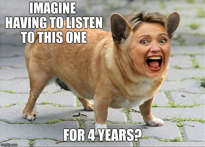 Hilldawg Hillary | IMAGINE HAVING TO LISTEN TO THIS ONE FOR 4 YEARS? | image tagged in hilldawg hillary | made w/ Imgflip meme maker