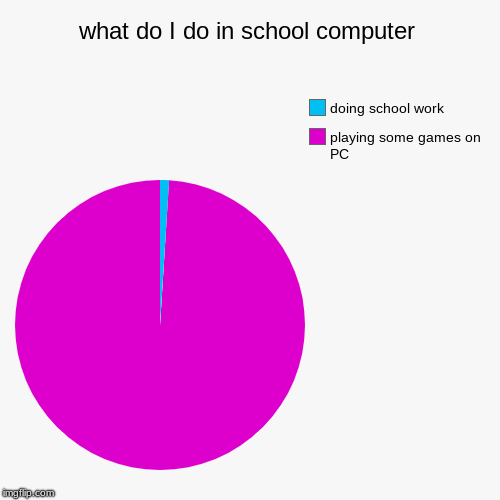 what do I do in school computer | playing some games on PC, doing school work | image tagged in funny,pie charts | made w/ Imgflip chart maker