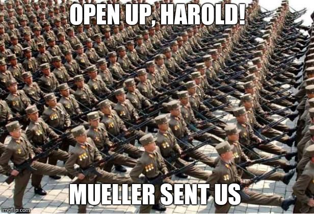 North Korean Army | OPEN UP, HAROLD! MUELLER SENT US | image tagged in north korean army | made w/ Imgflip meme maker