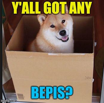 Doge in box | Y'ALL GOT ANY BEPIS? | image tagged in doge in box | made w/ Imgflip meme maker