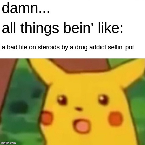 Surprised Pikachu Meme | damn... all things bein' like: a bad life on steroids by a drug addict sellin' pot | image tagged in memes,surprised pikachu | made w/ Imgflip meme maker