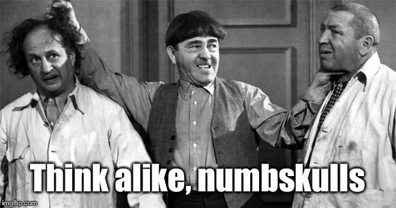 Three Stooges | Think alike, numbskulls | image tagged in three stooges | made w/ Imgflip meme maker