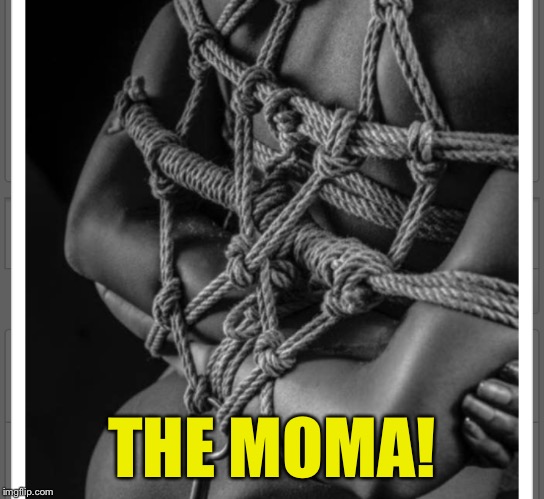 THE MOMA! | made w/ Imgflip meme maker