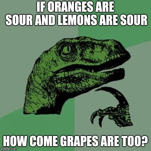 Philosoraptor Meme | IF ORANGES ARE SOUR AND LEMONS ARE SOUR; HOW COME GRAPES ARE TOO? | image tagged in memes,philosoraptor | made w/ Imgflip meme maker