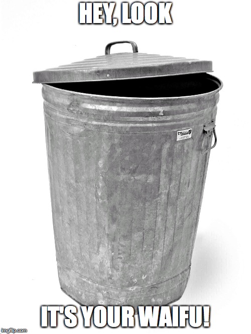 Trash Can | HEY, LOOK IT'S YOUR WAIFU! | image tagged in trash can | made w/ Imgflip meme maker
